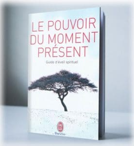 Livre revolution guide spirituel Aurelien Essertel