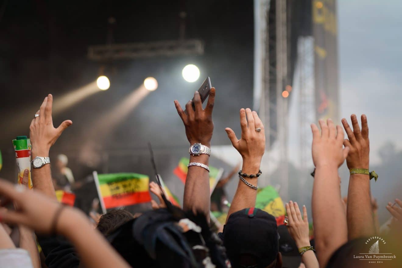 "Put your hands up Reggae Sun Ska !"