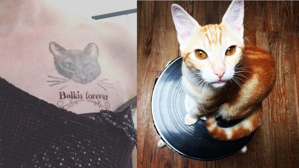 Et adopter ses chats à L'Ecole du chat ou à Potron-Minet