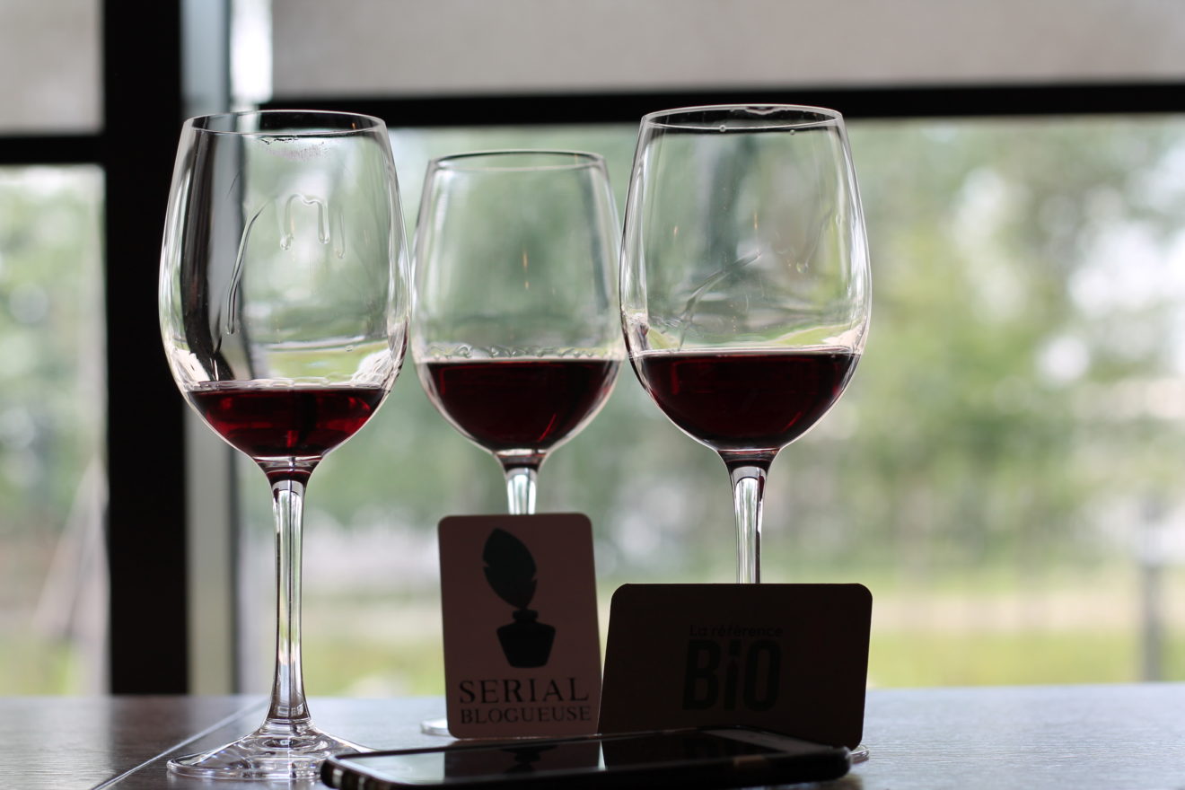 Serial Blogueuse à la cité du vin