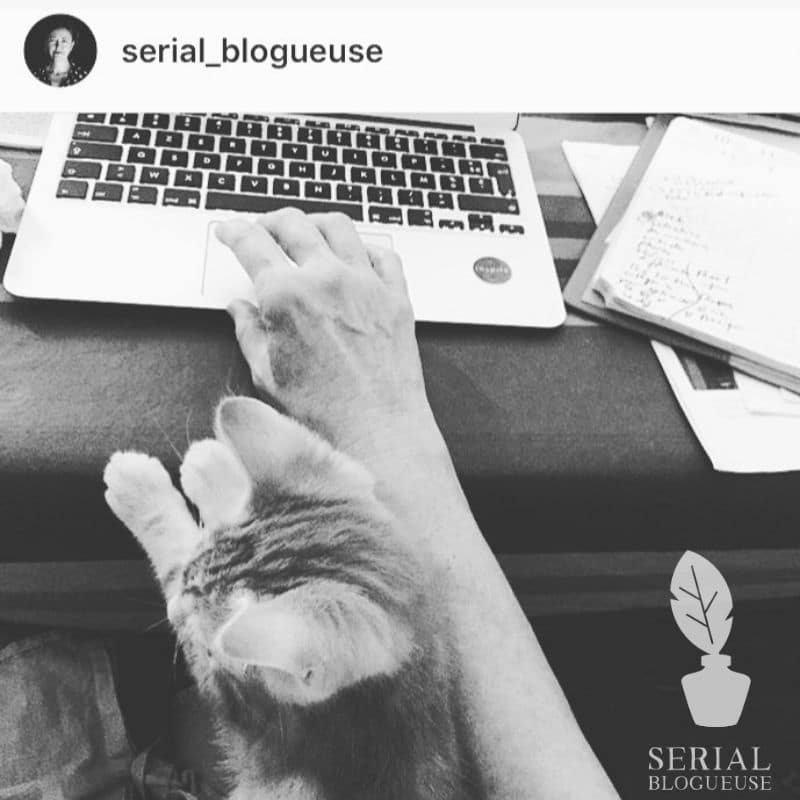 Mon Arbre A Chat Original Signe Julie La Bonne Fee De Nos Felins Serial Blogueuse