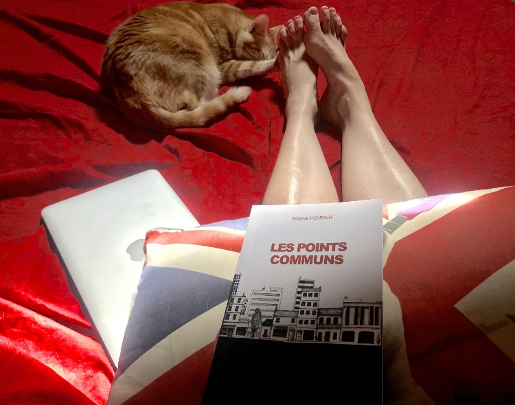 Clifton, le chat give me five pendant que je lis un des 5 livres de mon futur article